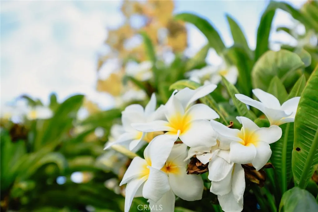 9711 Garibaldi Avenue, Temple City, California 91780 home-pic-22